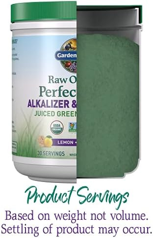 Garden of Life RAW Organic Perfect Food Alkalizer Detoxifier