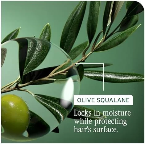 Biolage Strength Recovery Conditioner – For Damaged Hair