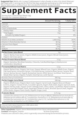 Garden of Life Perfect Food Original Super Green Formula