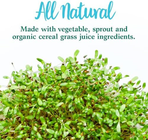 Garden of Life Perfect Food Original Super Green Formula