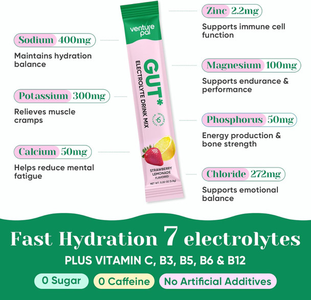 Venture Pal Sugar Free Hydration Packets + Gut Health Electrolytes Powder