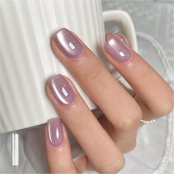 GAOY Glassy Cat Eye Gel Nail Polish, 16ml Glitter Holographic UV Gel Polish with Magnet, Reflective Translucent, 2341 Silvery Moonlight