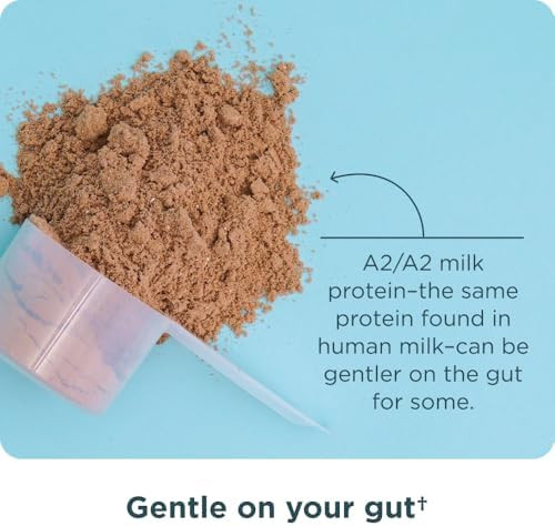 Ancient Nutrition Grass Fed Whey Protein, Collagen - Chocolate Peanut Butter - 18 Servings