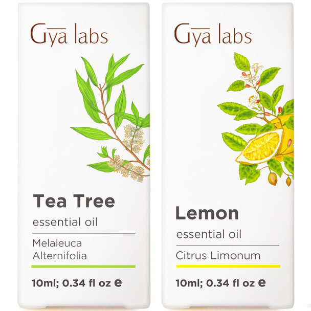 Gya Labs Tea Tree Oil For Skin and Lemon Essential Oil For Diffuser Set Aromatherapy Grade Essential Oils Set 2X0.34 Fl Oz Gya Labs