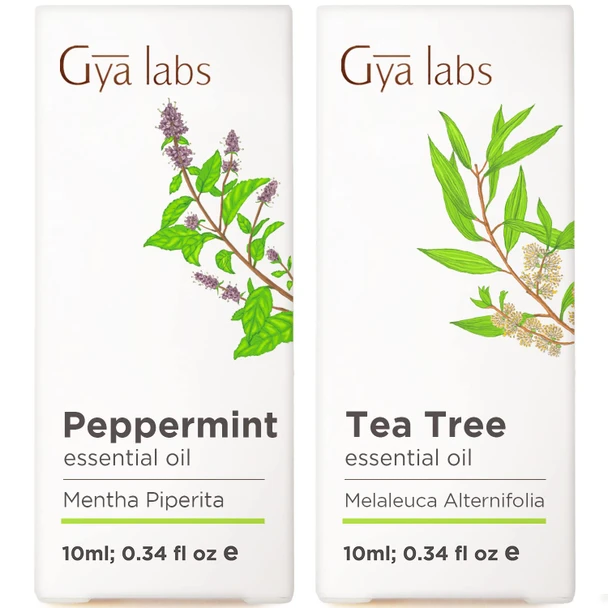 Gya Labs Peppermint Oil For Hair and Tea Tree Oil For Skin Set Aromatherapy Grade Essential Oils Set 2X0.34 Fl Oz Gya Labs