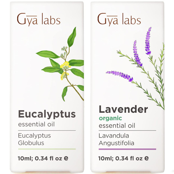 Gya Labs Eucalyptus Essential Oil For Diffuser and Organic Lavender Essential Oil For Diffuser Set Aromatherapy Grade Essential Oils Set 2X0.34 Fl Oz Gya Labs