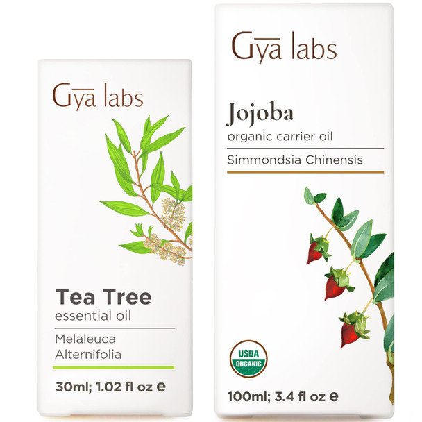 Gya Labs Tea Tree Oil For Skin and Jojoba Oil For Hair Set Aromatherapy Grade Essential Oils Set Gya Labs 30Ml 100Ml