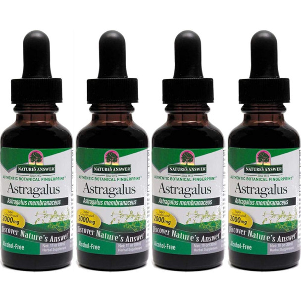 Nature'S Answer Astragalus Root 1 Ounces Each Value Pack Of 4