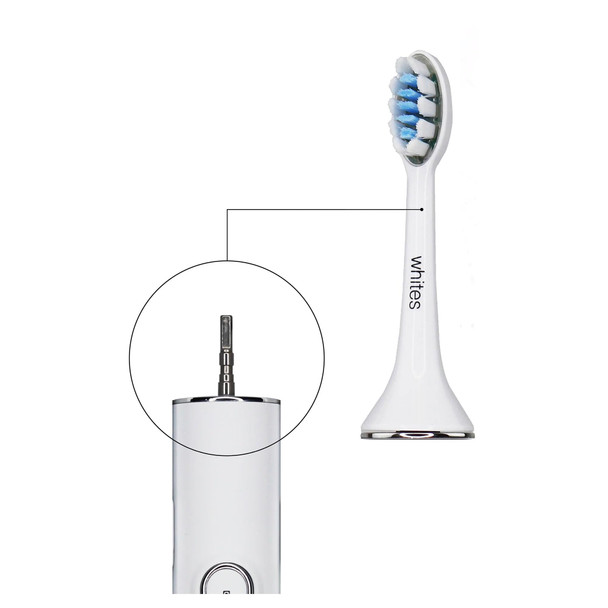Whites Beaconsfield Replacement Toothbrush Heads - 2 Pack, Compatible with Whites Sonic LED Electric Toothbrush (Previous Design Toothbrush), Precision Clean, Easy to Replace, Long-Lasting Performance