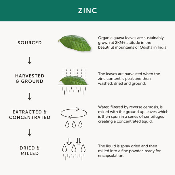 Together Organic Zinc 30 caps