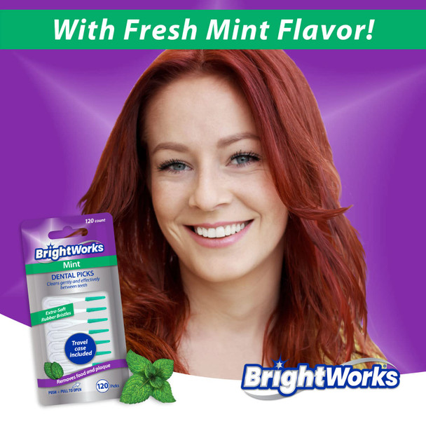 Brightworks Mint Dental Floss Picks 3 Packs Soft Bristles Travel Case 360Ct
