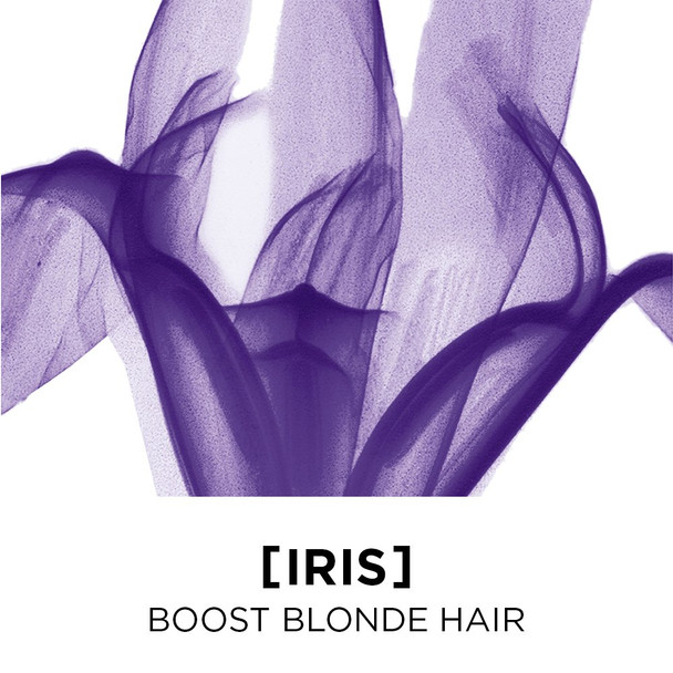 L'Oreal Paris EverPure Blonde Shade Reviving Treatment Sulfate Free, with Iris, 4.2 Fl; Oz