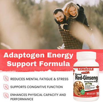 Nutridom Korean Red Panax Ginseng 500mg