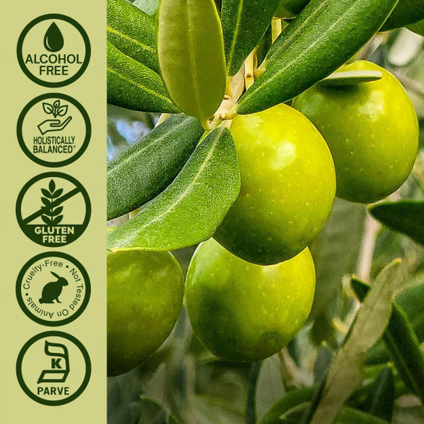 Nature's Answer Olive Leaf 2 oz