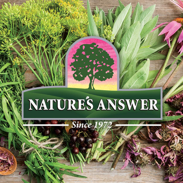 Nature's Answer Olive Leaf 2 oz