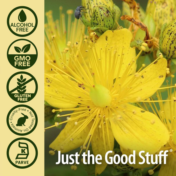 Nature's Answer St. John's Wort Leaf, Flower & Stem Extract 1 oz