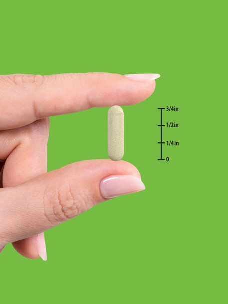Nature's Truth Ginger Root 1500 mg 100 Capsules