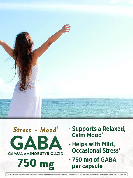 GABA 750 mg | 60 Capsules | Gamma Aminobutyric Acid Supplement | Non-GMO, Gluten Free | by Nature's Truth