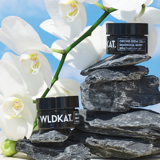 WLDKAT Orchid Stem Cell + Magnolia Berry Adaptogen Eye Gel0.4 oz / 12 ml