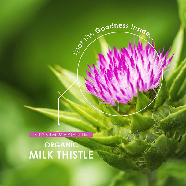 Organic Milk Thistle 1200mg - Silybum Marianum -  Organic, Non GMO, Gluten , Halal - 120 Vegan Capsules Organic Milk Thistle 1200mg - Silybum Marianum -  Organic, Non GMO, Gluten , Halal - 120 Vegan Capsules