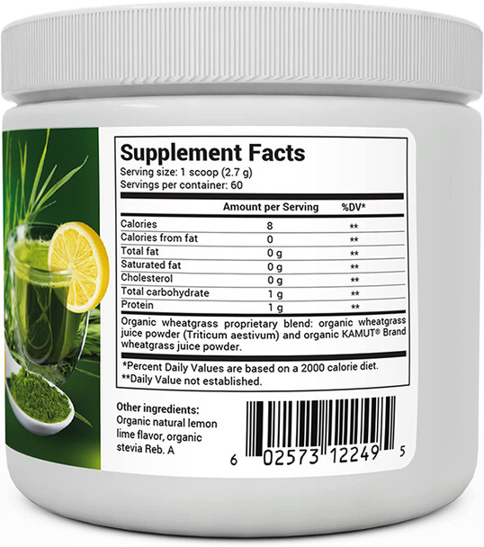 Dr. Berg's Raw Wheatgrass Juice Powder (60 Servings) - USDA Certified Organic Wheatgrass Powder w/ Chlorophyll, Trace Minerals & Natural Enzymes - Ultra-Concentrated - Lemon Flavor w/ Stevia 1 Pack