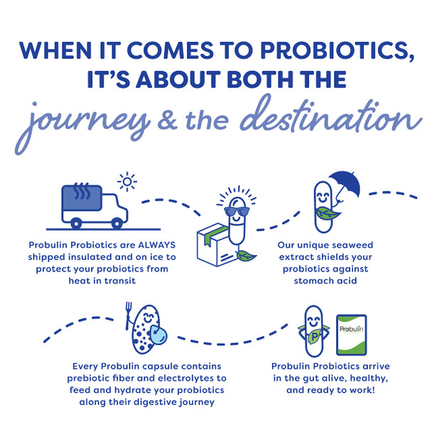 Probulin Daily Care Probiotic for Digestive and Immune Support 30 Capsules