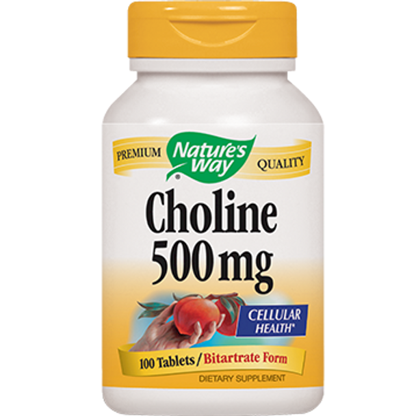 Nature's Way Choline 500 mg 100 tabs