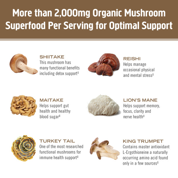 Om Mushroom Superfood Mighty Mushroom Broth 10 Single Serving Sachets