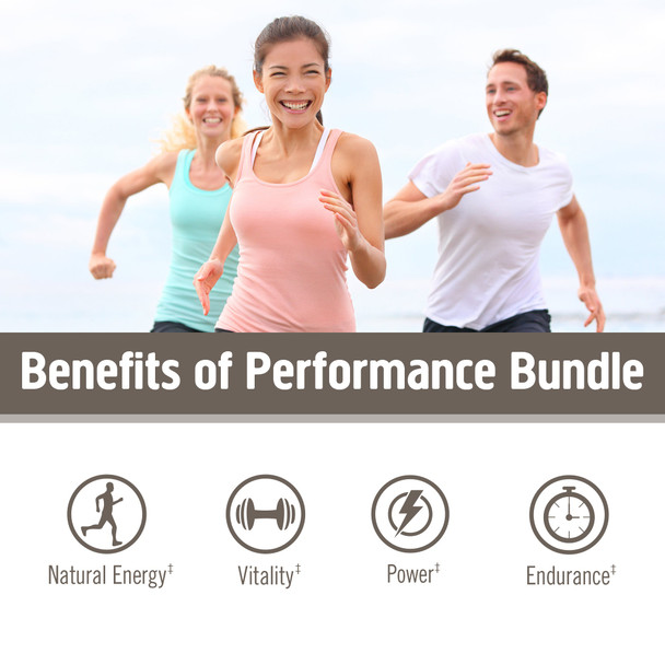 Om Mushroom Superfood Performance Bundle