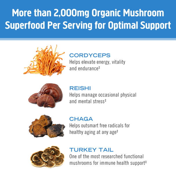 Om Mushroom Superfood Breathe Mushroom Capsules 30 Servings