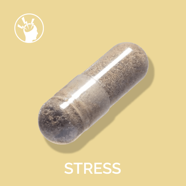 PlantFusion Ashwagandha for Stress