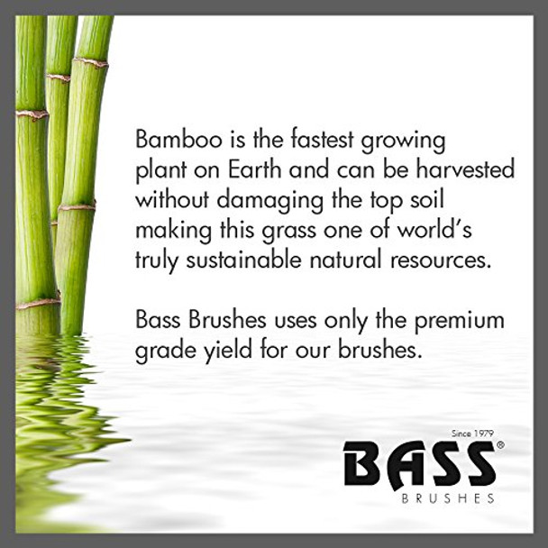 Bass Brushes  P Series  Straighten  Curl Round Hair Brush  Deluxe Length Styling Head  Natural Bristle  Pure Bamboo Handle  Large Barrel  Model P104
