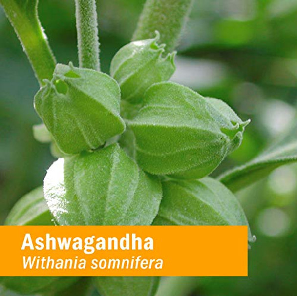 Herb Pharm Ashwagandha Glycerite 2 oz