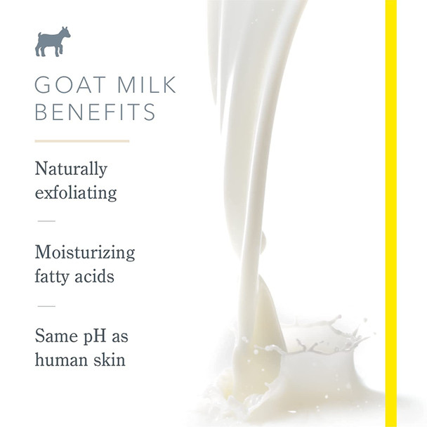 Beekman 1802  Goat Milk Lotion  Pure Goat Milk  FragranceFree Hydrating Goat Milk Lotion for WholeBody  CrueltyFree Goat Milk Bodycare  12.5 oz