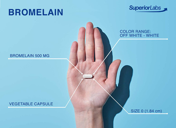 Superior Labs  Best Bromelain Non GMO Natural Supplement  NonSynthetic  2400 gdu/Gram  Supports Healthy Digestion  Inflammatory Responses Bruises Immune  Extra Strength  500 mg 120 VCaps