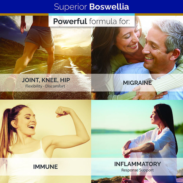 Superior Labs Boswellia Extract  Pure NonGMO Boswellic 65 Acids w/Bioperine Superior Absorption Zero Synthetic Additives  Powerful Formula Joint Knees Hips Immune  500mg SVG 240 Veg