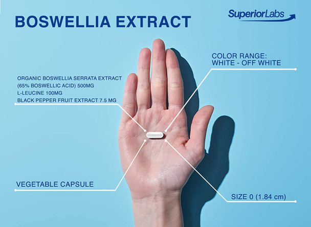 Superior Labs Boswellia Extract  Pure NonGMO Boswellic 65 Acids w/Bioperine Superior Absorption Zero Synthetic Additives  Powerful Formula Joint Knees Hips Immune  500mg SVG 240 Veg