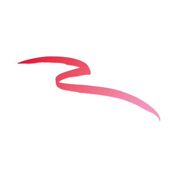 Profusion Cosmetics Water Activated Liner Duo TwoTone Liners Included Refillable Water Brush Berry