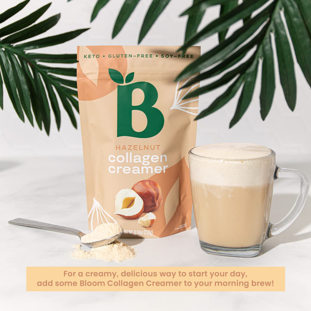 Bloom Nutrition Collagen Creamer  Keto Coffee Creamer Supplement with Collagen Peptides  Coconut MCT Oils  Promotes Healthy Hair Glowing Skin  Strong Nails  Gluten Free Soy Free Hazelnut