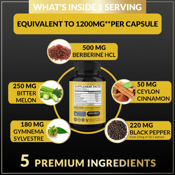 Berberine HCl Supplement 1200mg with Ceylon Cinnamon Bitter Melon Gymnema Sylvestre Extract  Supports Immune System