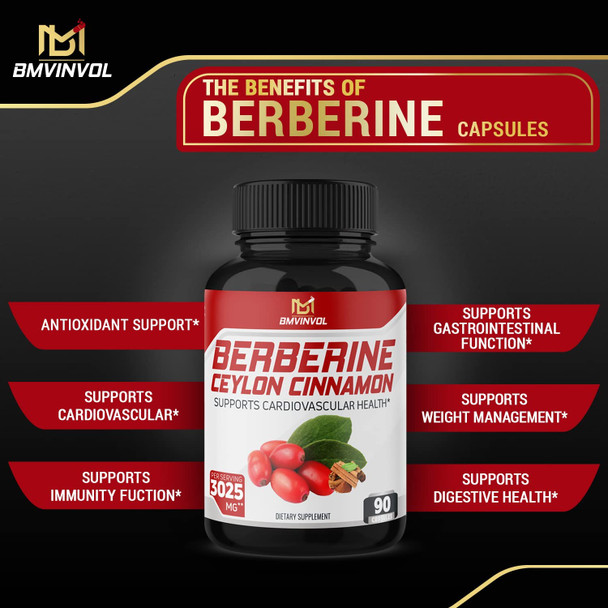 Berberine Supplement  17 in 1 Immune Support with Ceylon Cinnamon Quercetin Turmeric Milk Thistle Ginger  90 Capsules