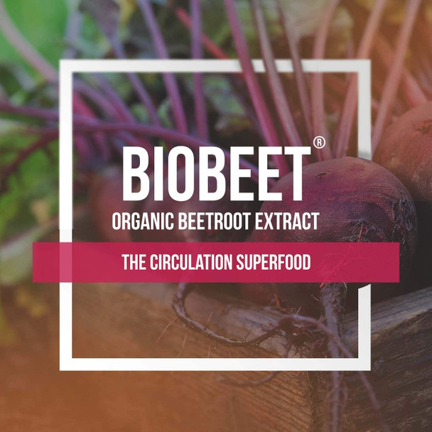 Biobeet Max Strength Beet Root Capsules  211 Concentrate Each Serving Derived From 28350 Mg Organic Beetroot  Absorption Enhancement With Bioperine Black Pepper Extract 60 Capsules
