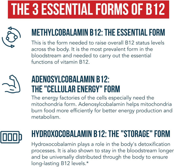 BioActive Vitamin B12  5000 mcg Contains 3 BioActive B12 Forms Plus Methylfolate Cofactor  Methyl B12 Adenosyl B12  Hydroxy B12  Supports Energy Metabolism  Mood  Vegan NonGMO 60 Servings