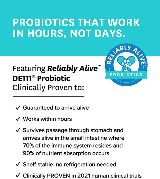 Zenwise No Stress Probiotics Digestion and Stress Relief Ashwagandha Magnesium Probiotics and Vitamin D for Brain Focus Constipation Bloating and Mood Relaxation Plus Immune Support 60 CT