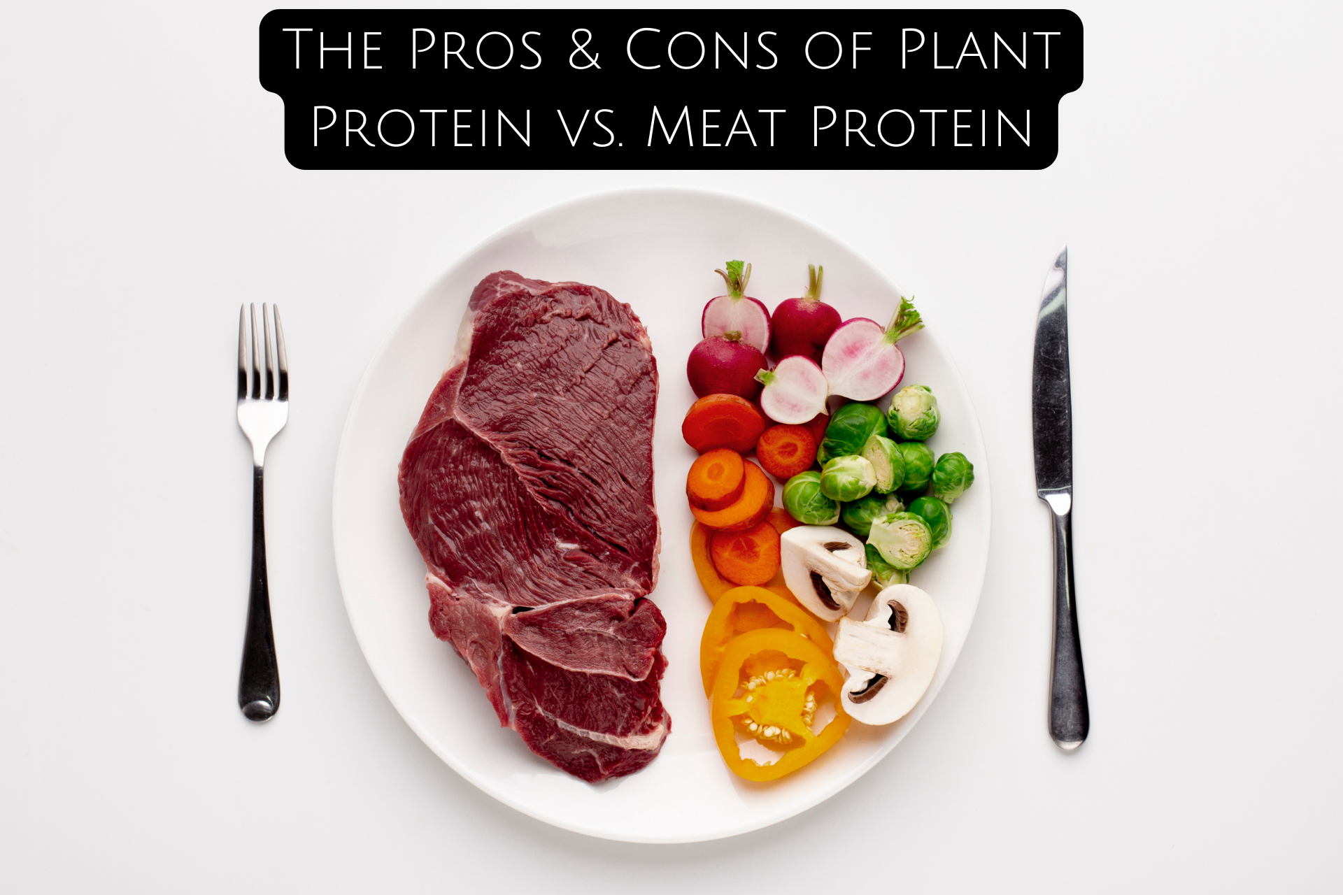 the-pros-cons-of-plant-protein-vs-meat-protein-kiwla