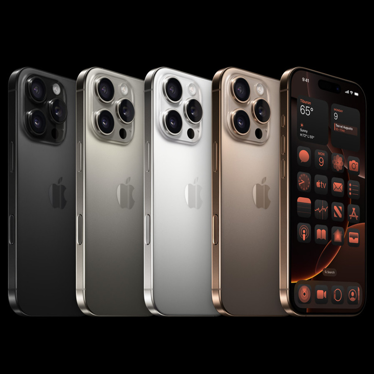 iPhone16Pro 256GB iPhone 16 Pro Max 256GB Natural Titanium - From \u20ac989 - Swappie