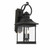 Fergus Exterior Wall Light Black