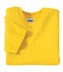 Gildan-®----Youth--Heavy-Cotton-™--100%-Cotton-T-Shirt.--5000B-17