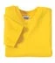 Gildan-®----Youth--Heavy-Cotton-™--100%-Cotton-T-Shirt.--5000B-41