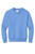 Carolina Blue